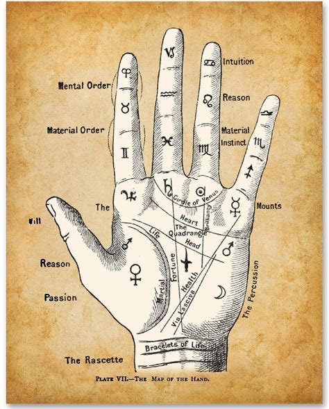 31 Chinese Astrology Palm Reading