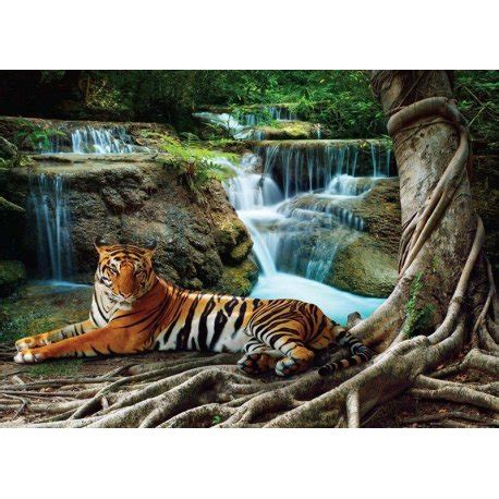 Mural De Parede Decorativo Tigre Deitado Na Selva