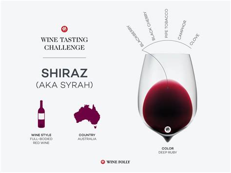 Is Shiraz Wine Sweet Exploring The Sweetness Spectrum