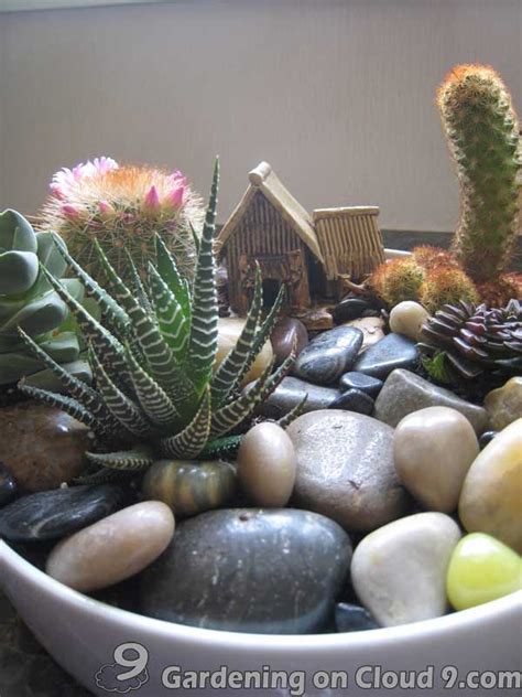 Indoor Garden Gallery Of Tabletop Container Garden Cactus Garden