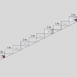 Experimental Design Procedure And Examples Of Stimuli In Experiment 1