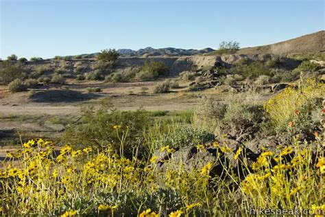 Mojave National Preserve Camping | Hikespeak.com