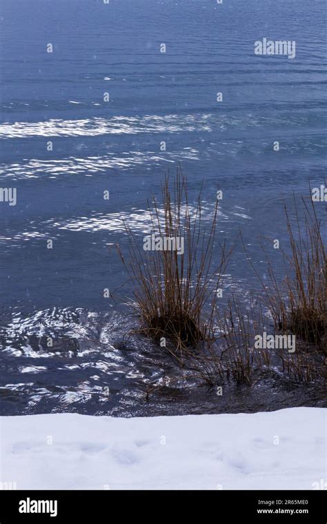 Lakeside in winter Stock Photo - Alamy