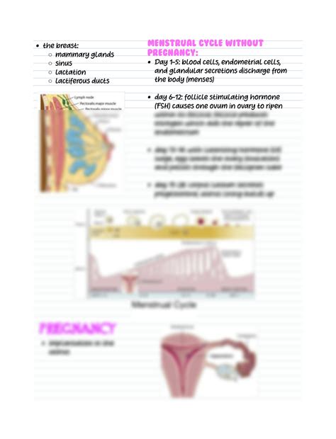 SOLUTION: Female reproductive system notes biology - Studypool