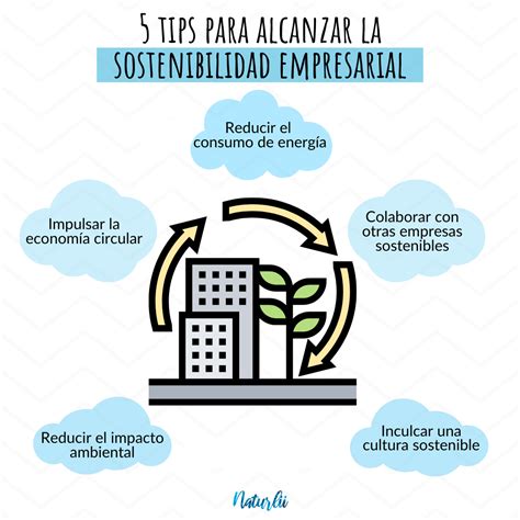 Mejores infografías e ilustraciones de sostenibilidad Naturlii