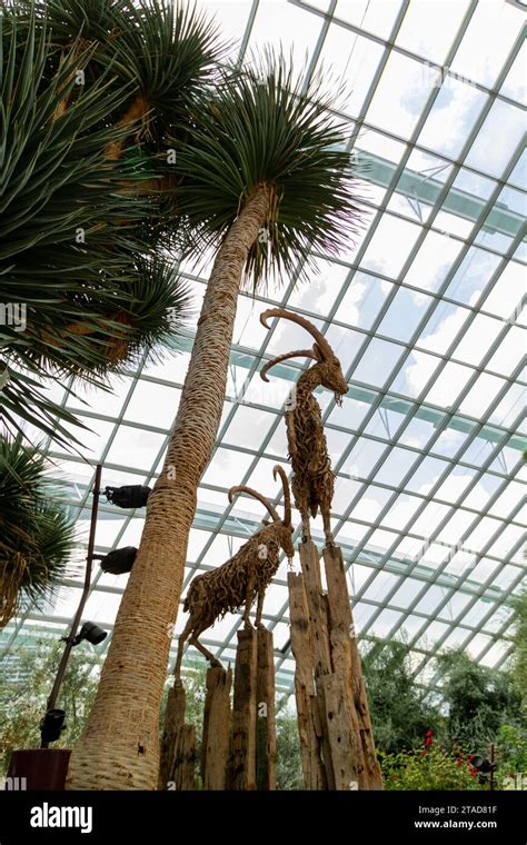 Flower dome. Singapore Stock Photo - Alamy