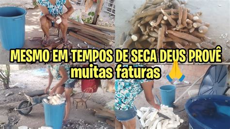 MUITA SECA POR AQUI COLHEMOS MANDIOCA PARA FAZER PUBA MINHA ROTINA