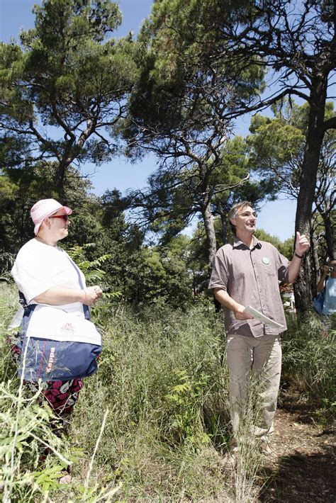 Slobodna Dalmacija DORH se uključuje zbog rušenja pelegrinke Rumora