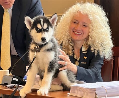 Uconn Introduces New Husky Mascot