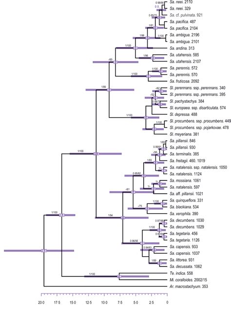 Figure From Phylogeny Biogeography And Ecological Diversification Of