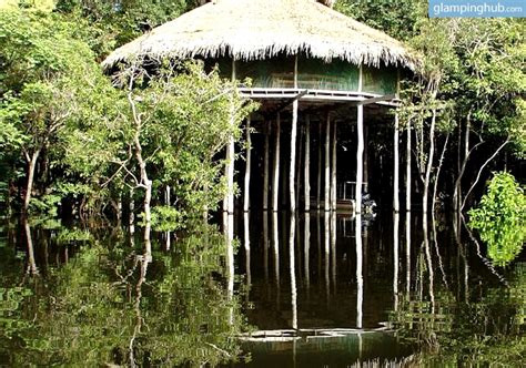 Jungle tree house lodge Amazon Rainforest | River Bungalows in