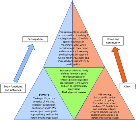 Components Of Active Strides Cp Across Icf Levels And Settings Fes Download Scientific