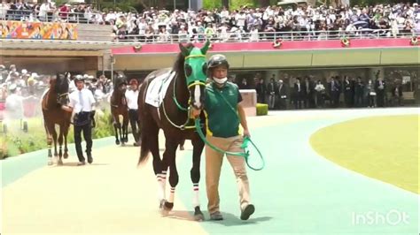 メイクデビュー東京 2歳新馬戦 ボンドガール優勝のパドック Youtube