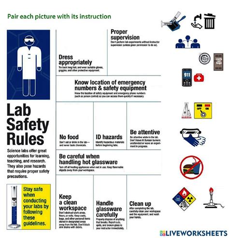 Lab safety rules pictures & theory worksheet | Lab safety rules, Lab ...