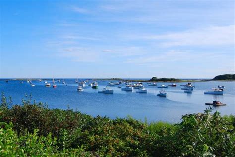 10+ Goat Island Marine Reserve Photos Stock Photos, Pictures & Royalty ...