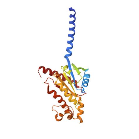 Rcsb Pdb Gg Cryoem Structure Of Beta Adrenergic Receptor In