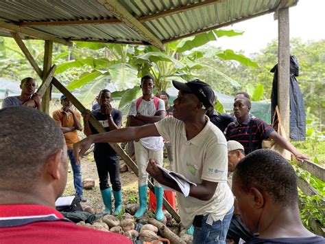 Produtores de coco em São Tomé e Príncipe recebem formação em boas