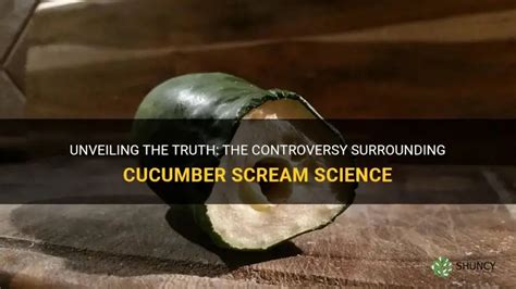 Unveiling The Truth: The Controversy Surrounding Cucumber Scream ...
