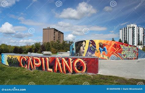 Skateboard Park Graffiti And Graphics Editorial Photo | CartoonDealer ...