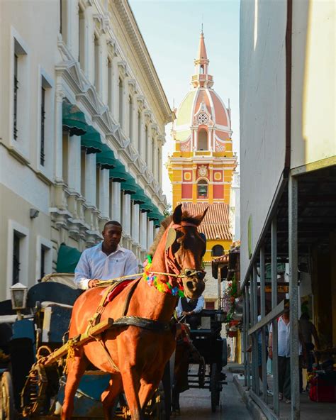 15 Mejores Cosas Que Hacer En La Ciudad Vieja De Cartagena Colombia