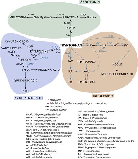 Gut Microbiota Regulation Of Tryptophan Metabolism In Health And Disease Cell Host And Microbe