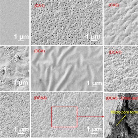 Static Water Contact Angles Of Cellulose Acetate Ca And Blend Films