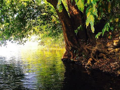 Dandeli – An Escapade to Nature and Adventure | Karnataka.com