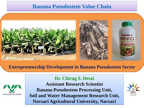 Pdf Banana Pseudostem Value Chain Navsari Agricultural University Dr