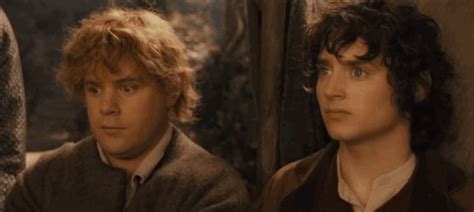 frodo baggins and samwise gamgee | Tag | PrimoGIF