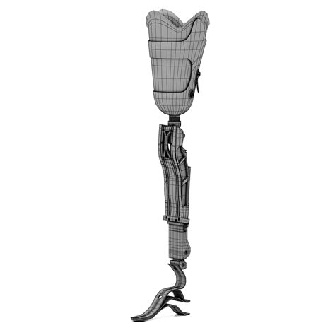 Prosthetic Leg 3d Model Cgtrader