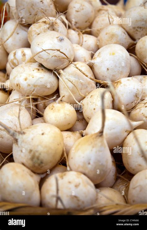 Jicama Pachyrhizus Erosus At Jamaica Market In Colonia Jamaica In