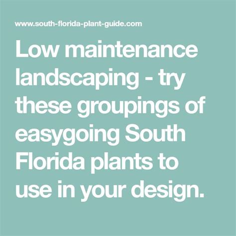 The Words Low Maintenance Landscaping Try These Groupings Of Easy Growing South Florida Plants