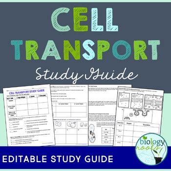 Cell Transport Study Guide By Biology Roots Tpt