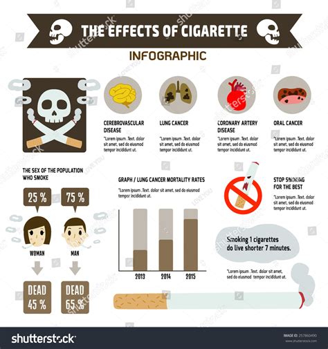 Effects Cigarette On Health Infographic Vector Stock Vector (Royalty