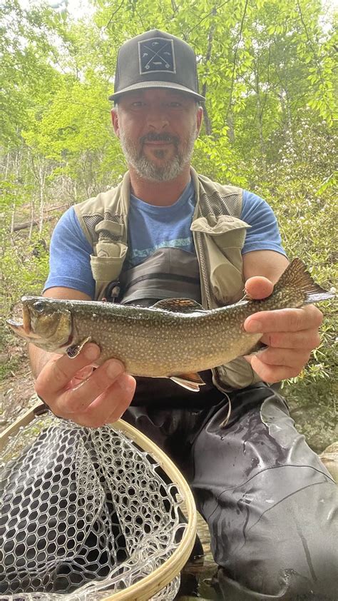 Fly Fishing Trout William Ellis Flickr