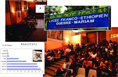 The French High School Guebre Mariam Managed By The Mission La Que