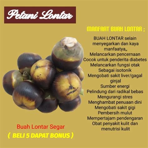 Jual Buah Siwalan Lontar Pcs Bulat Isi Biji Shopee Indonesia