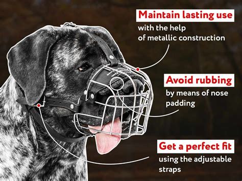 Should You Muzzle A Biting Puppy