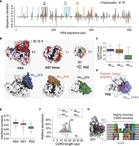 Integrative Proteomics Identifies Thousands Of Distinct Multi Epitope