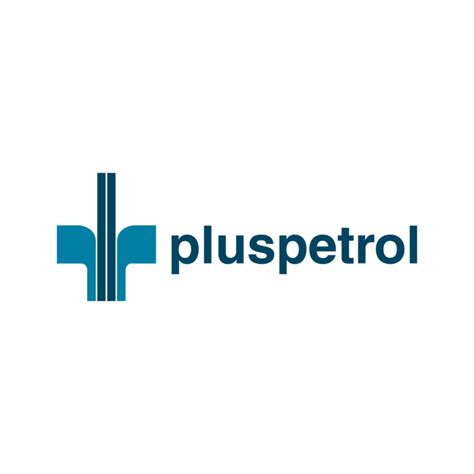 Pluspetrol Energy Capital Power