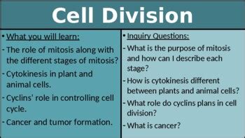 Ib Biology Chapter Cell Division By Ib And Myp Resources Tpt