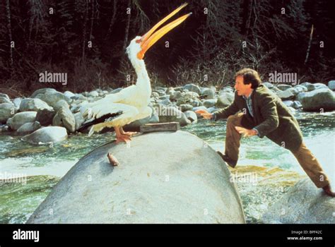 Robin Williams And Pelican Jumanji 1995 Stockfotografie Alamy