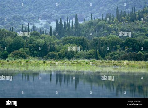 Greece Cypress Hi Res Stock Photography And Images Alamy