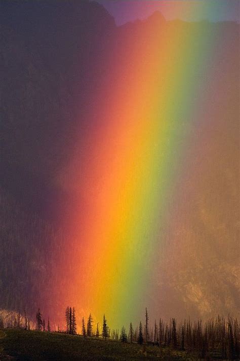 144 Best Real Life Rainbows Images On Pinterest