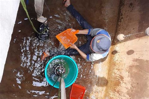Công Tnhh Vệ sinh Công nghiệp Hoàn Mỹ