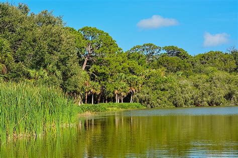 11 Most Magical Lakes In Florida Worldatlas