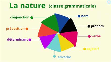 La nature et fonction des mots CM1 CM2 Maître Lucas