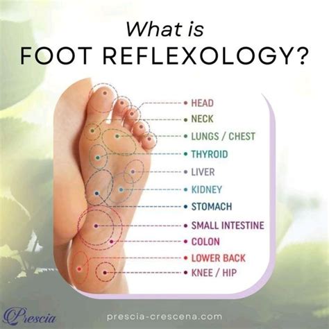 Pin By Life Styles Health Tips On Pins By You Foot Reflexology