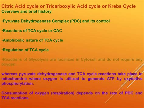 Citric Acid Cycle Ppt