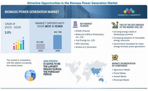 Biomass Power Generation Market Size Share Report 2023 2030 [latest]